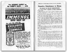 1955 Page 36 37